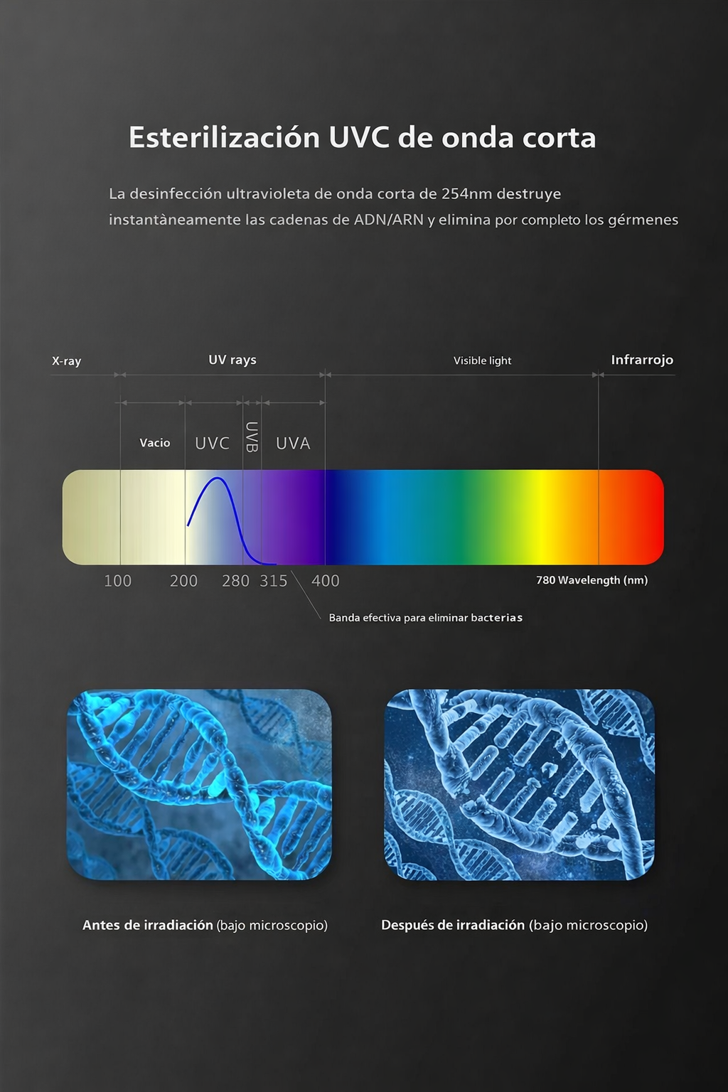 CleanBrush UV - Esterilizador UV Portátil para Cepillos Dentales